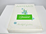 Vintage 1960s Artemis by Gossard Penior Brown Deadstock Nightgown Set w/ Box